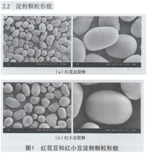 红小豆和红花豆淀粉热性质及回生性质的比较