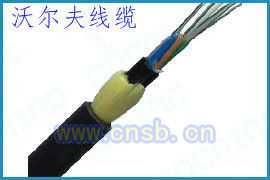 ADSS-16B1-600ֶ